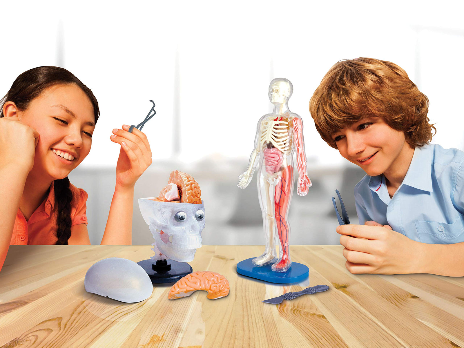 SmartLab Toys Totally Squishy From Head-To-Toe