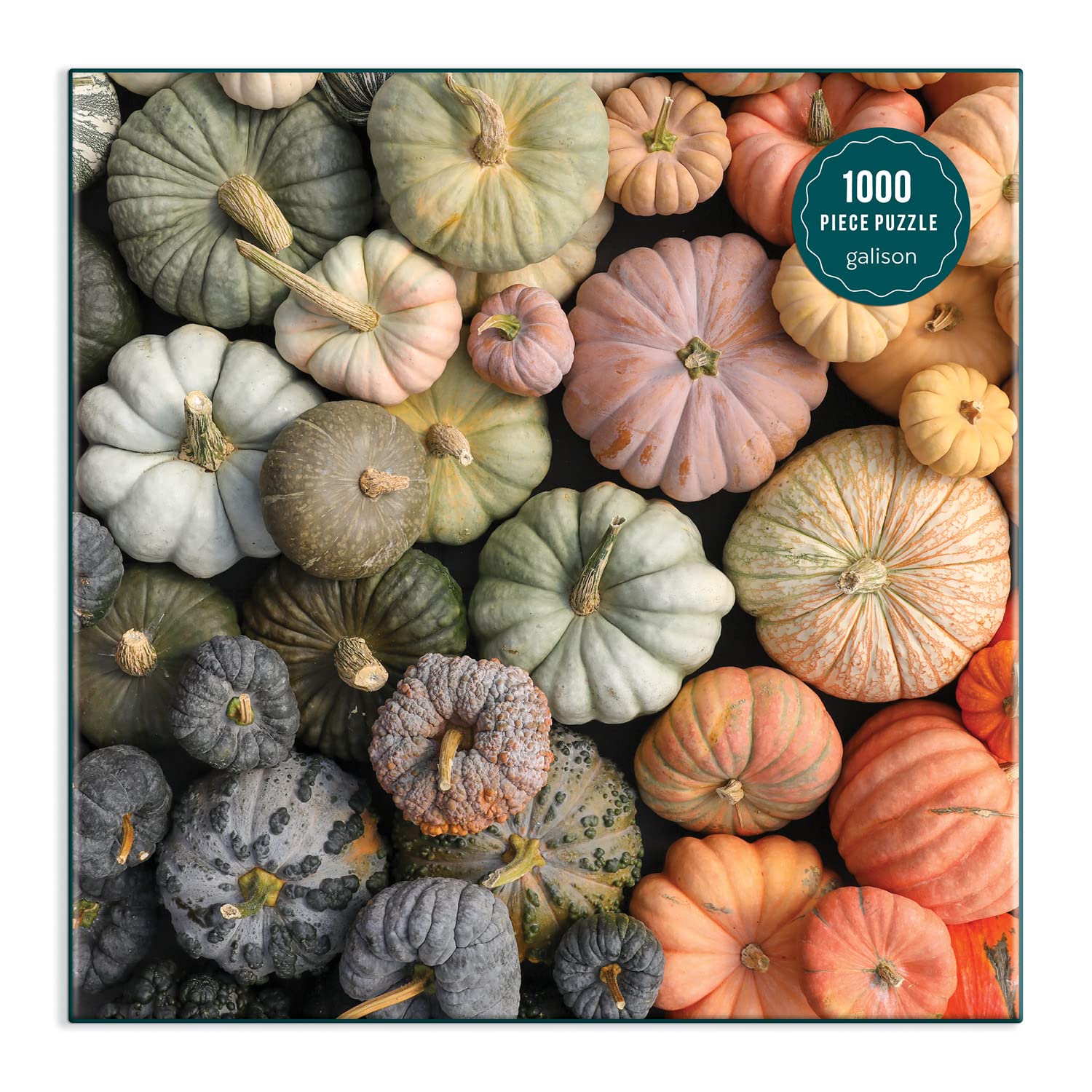 Galison Heirloom Pumpkins Puzzle, 1000 Pieces, 27” x 20” – Difficult Jigsaw Puzzle Featuring Stunning and Colorful Artwork – Thick, Sturdy Pieces, Challenging Family Activity