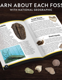 NATIONAL GEOGRAPHIC Mega Fossil Dig Kit – Excavate 15 Real Fossils Including Dinosaur Bones & Shark Teeth, Educational Toys, Great Gift for Girls and Boys, an AMAZON EXCLUSIVE Science Kit
