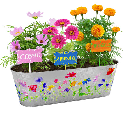 Paint & Plant Flower Growing Kit for Kids - Best Birthday Crafts Gifts for Girls & Boys Age 4, 5, 6, 7, 8-12 Year Old Girl Christmas Gift - Childrens Gardening Kits, Art Projects Toys for Ages 4-12