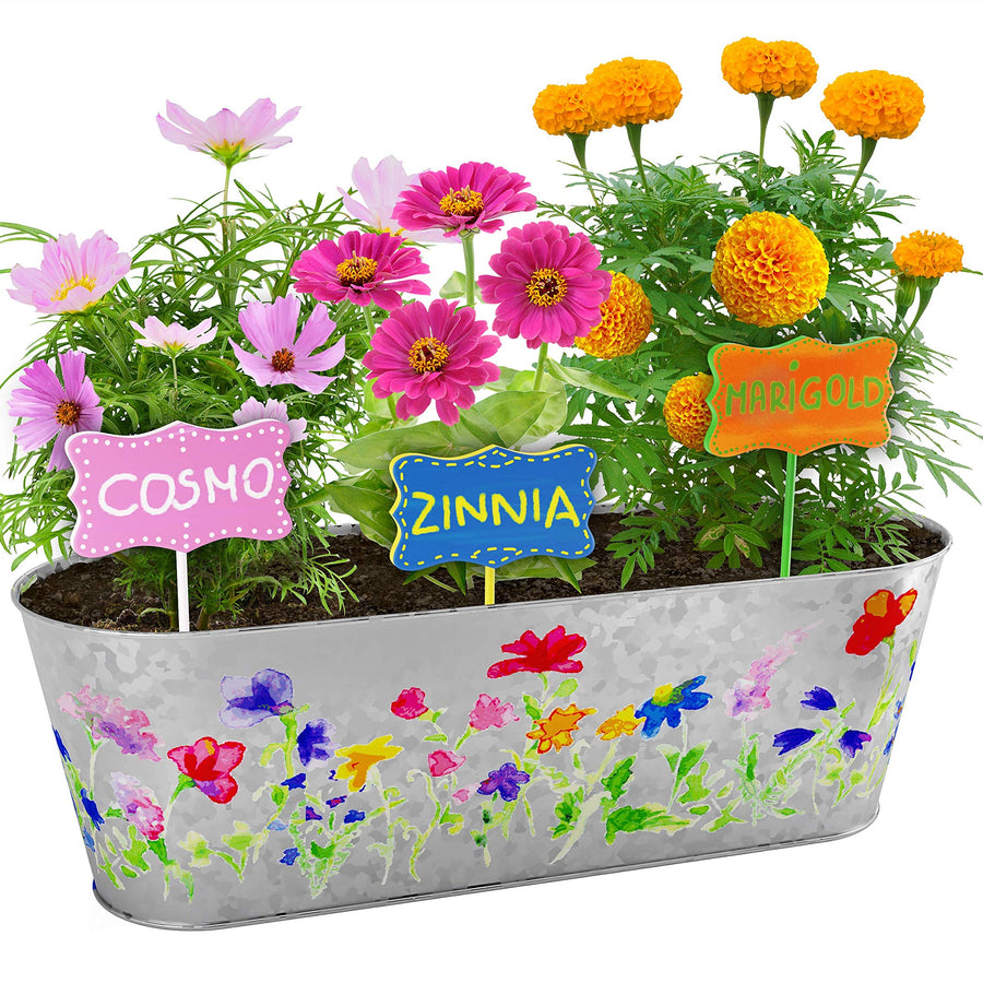 Paint & Plant Flower Growing Kit for Kids - Best Birthday Crafts Gifts for Girls & Boys Age 4, 5, 6, 7, 8-12 Year Old Girl Christmas Gift - Childrens Gardening Kits, Art Projects Toys for Ages 4-12