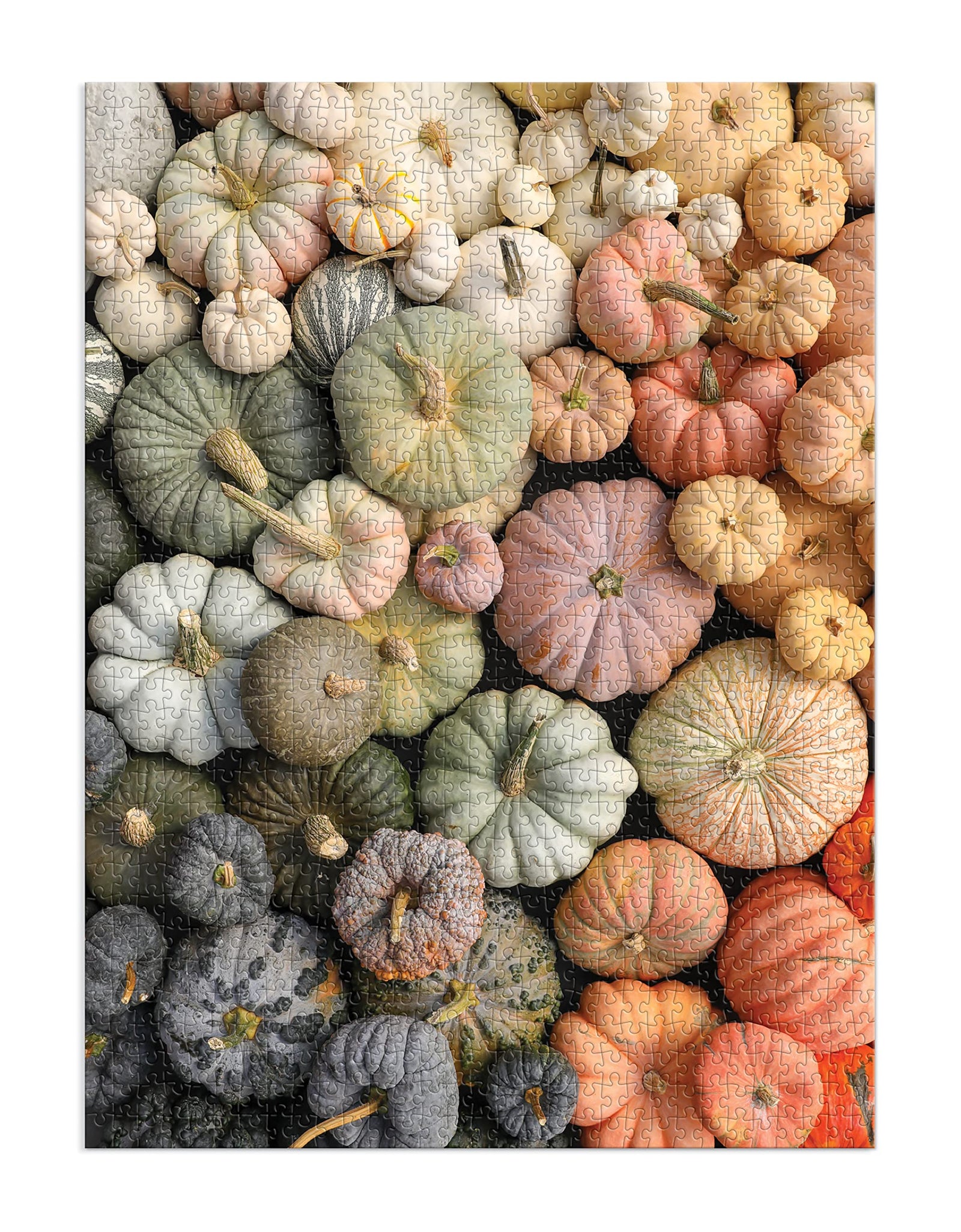 Galison Heirloom Pumpkins Puzzle, 1000 Pieces, 27” x 20” – Difficult Jigsaw Puzzle Featuring Stunning and Colorful Artwork – Thick, Sturdy Pieces, Challenging Family Activity