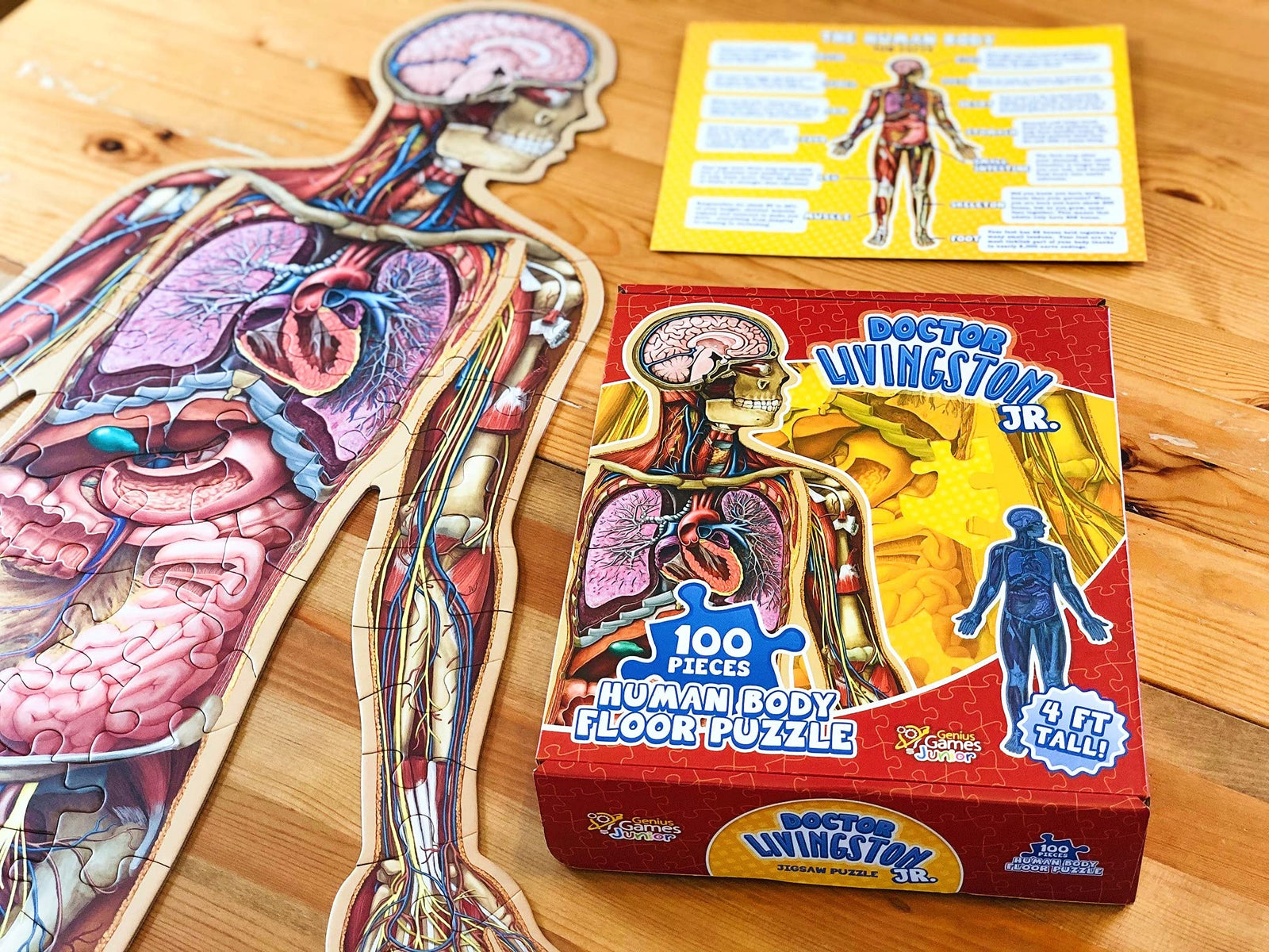 Human Body Kids 100 Piece Floor Puzzle - 4ft Tall | Dr Livingston's Unique Shaped Science Floor Jigsaw Puzzles, Accurate Medical Illustrations of The Body for Kids