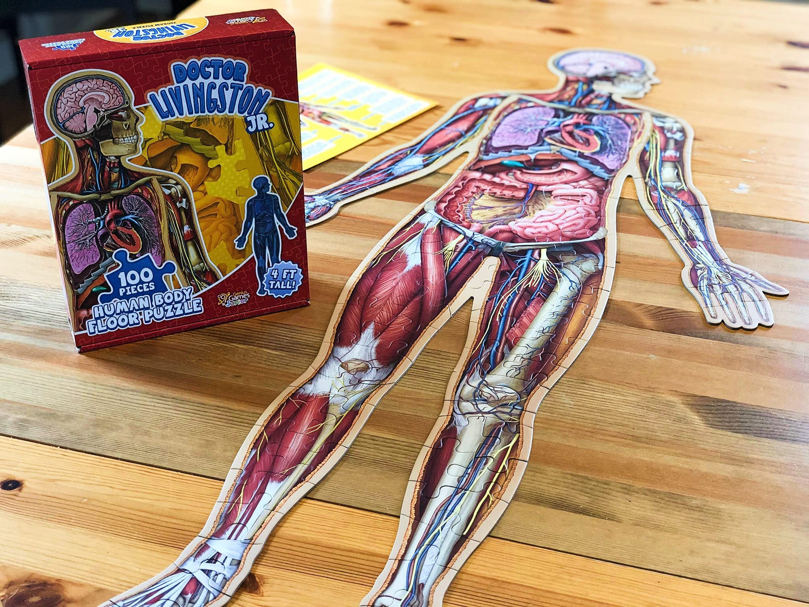 Human Body Kids 100 Piece Floor Puzzle - 4ft Tall | Dr Livingston's Unique Shaped Science Floor Jigsaw Puzzles, Accurate Medical Illustrations of The Body for Kids