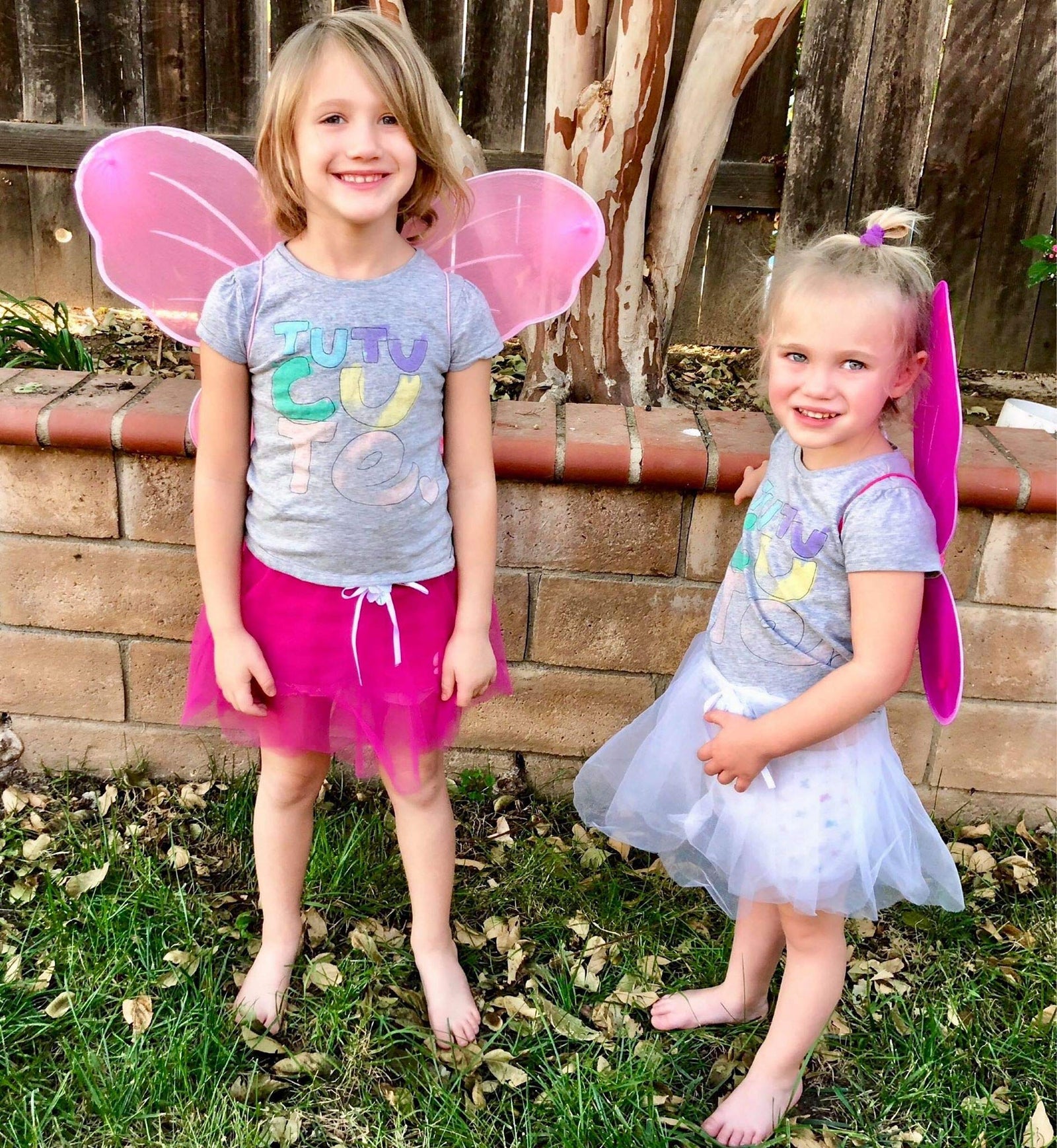 Girls Fairy Wings fedio 5 Pack Princess Butterfly Costume Wings Set for Kids Dress up Birthday Party(Ages 3-6 Years) (Fairy wings(5Pack))