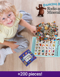 Dancing Bear Rock & Mineral Collection Activity Kit (200+Pcs) with Geodes, Shark Teeth Fossils, Arrowheads, Crystals, Gemstones for Kids, Rock Book, Treasure Hunt ID Sheet, STEM Education, Made in USA
