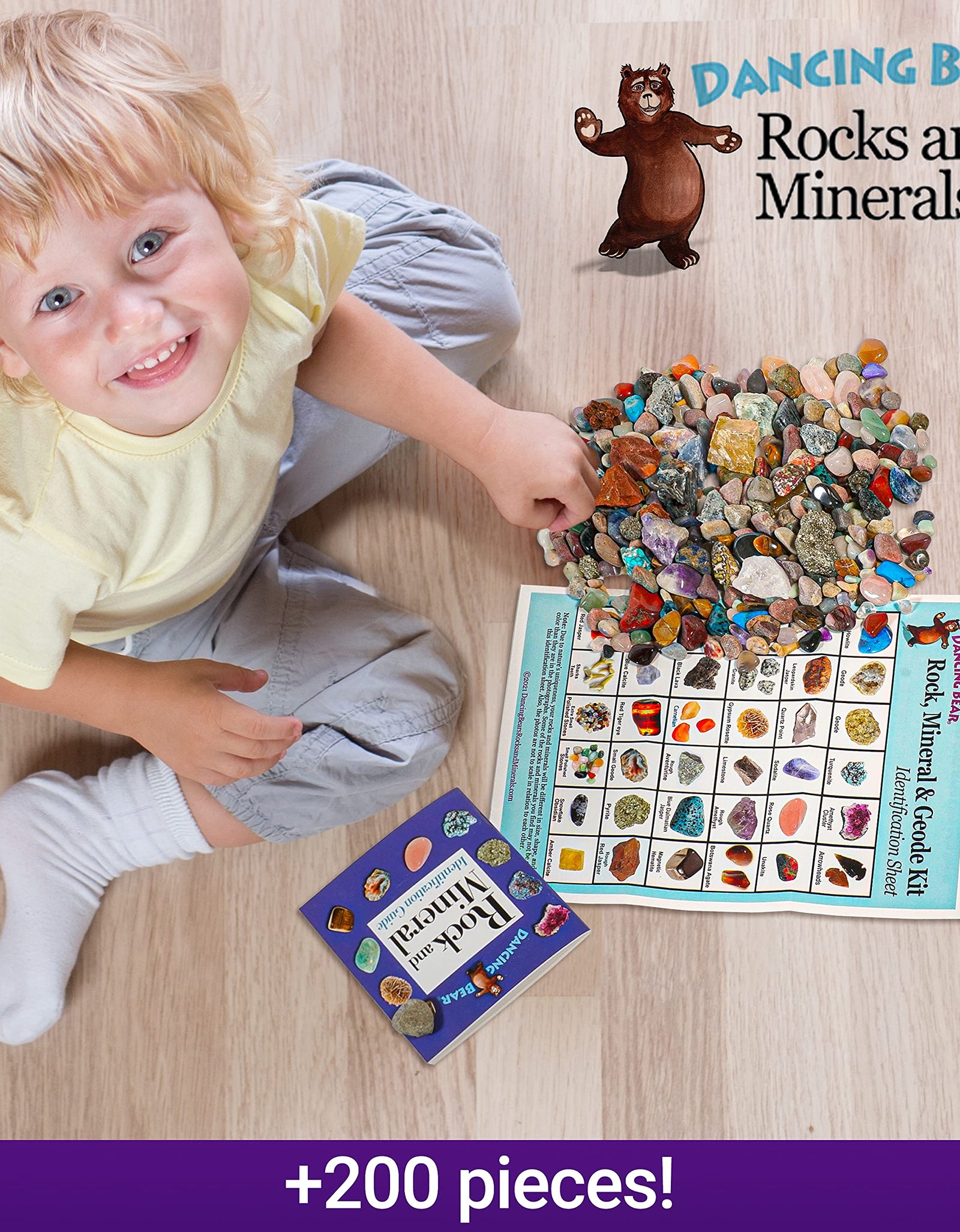 Dancing Bear Rock & Mineral Collection Activity Kit (200+Pcs) with Geodes, Shark Teeth Fossils, Arrowheads, Crystals, Gemstones for Kids, Rock Book, Treasure Hunt ID Sheet, STEM Education, Made in USA