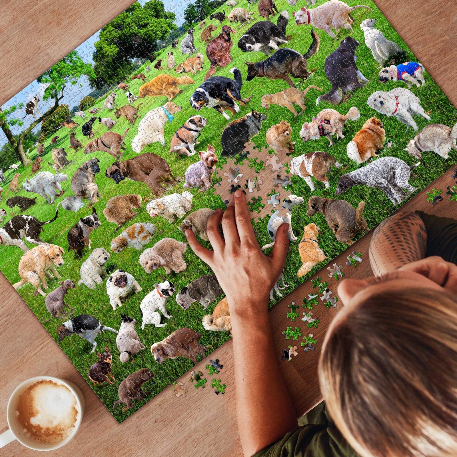 1000 Piece Puzzle, 101 Pooping Puppies, Dogs Pooping Puzzle