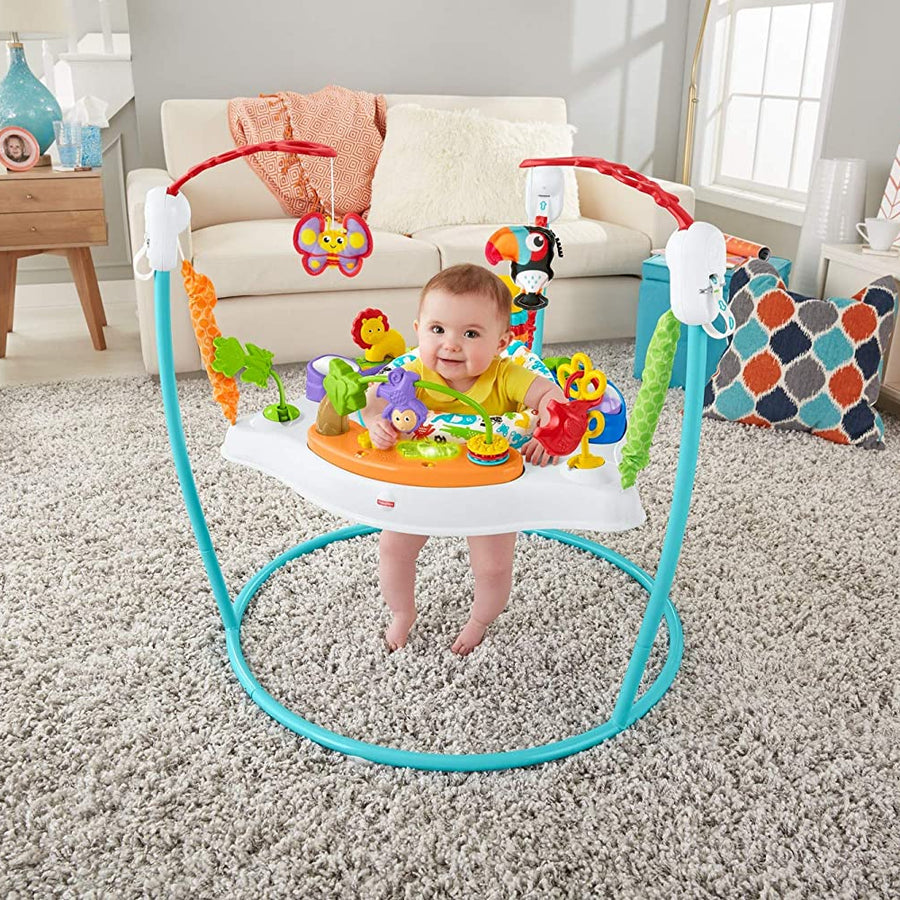 Fisher-Price Animal Activity Jumperoo, Blue, One Size