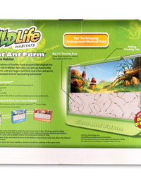 Uncle Milton Giant Ant Farm - Large Viewing Area - Care for Live Ants - Nature Learning Toy - Science DIY Toy Kit - Great Gift for Boys & Girls, Green
