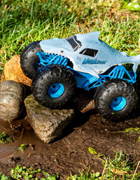 Monster Jam, Official Megalodon Storm All-Terrain Remote Control Monster Truck Toy Vehicle, 1:15 Scale
