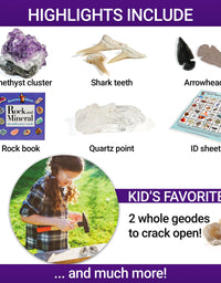 Dancing Bear Rock & Mineral Collection Activity Kit (200+Pcs) with Geodes, Shark Teeth Fossils, Arrowheads, Crystals, Gemstones for Kids, Rock Book, Treasure Hunt ID Sheet, STEM Education, Made in USA
