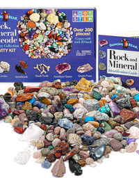 Dancing Bear Rock & Mineral Collection Activity Kit (200+Pcs) with Geodes, Shark Teeth Fossils, Arrowheads, Crystals, Gemstones for Kids, Rock Book, Treasure Hunt ID Sheet, STEM Education, Made in USA
